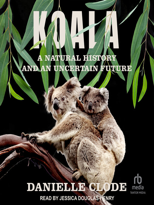 Title details for Koala by Danielle Clode - Available